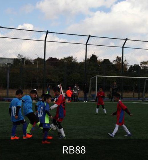 了解RB88